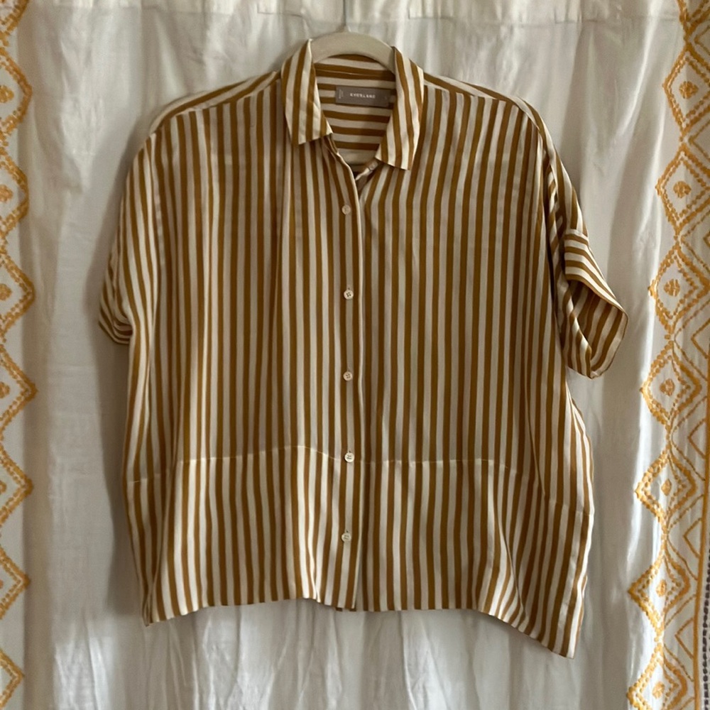 Everlane 100% Silk Button Down